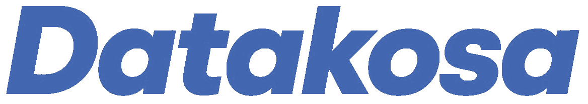 Datakosa.ai, Data and AI Services
